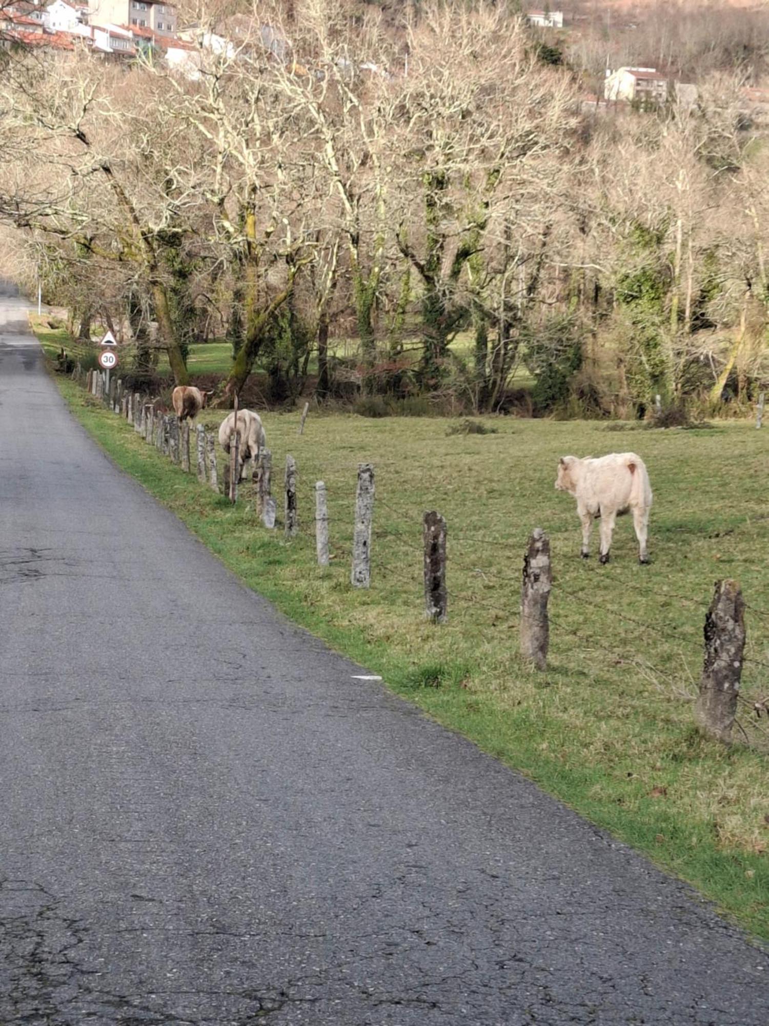 Vive Una Escapada Rural Con Alma, Cerca De Todo Y Lejos Del Ruido Pontevedra Exterior photo